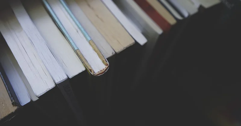 Le programme et la méthode : ce qui vous attend vraiment