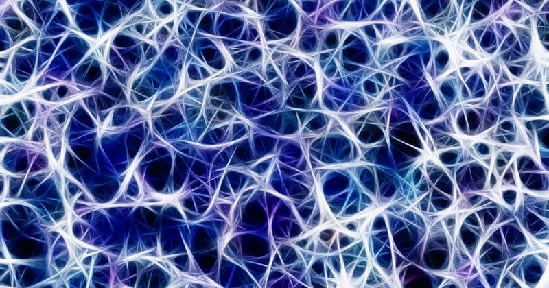La myéline, bouclier de votre cerveau : comment la protéger au quotidien ?